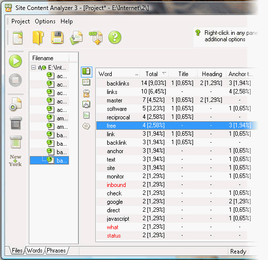 Site Content Analyzer 3 - keyword phrases suggestion software, website keywords optimization